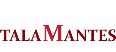 Talamantes Immigration Law