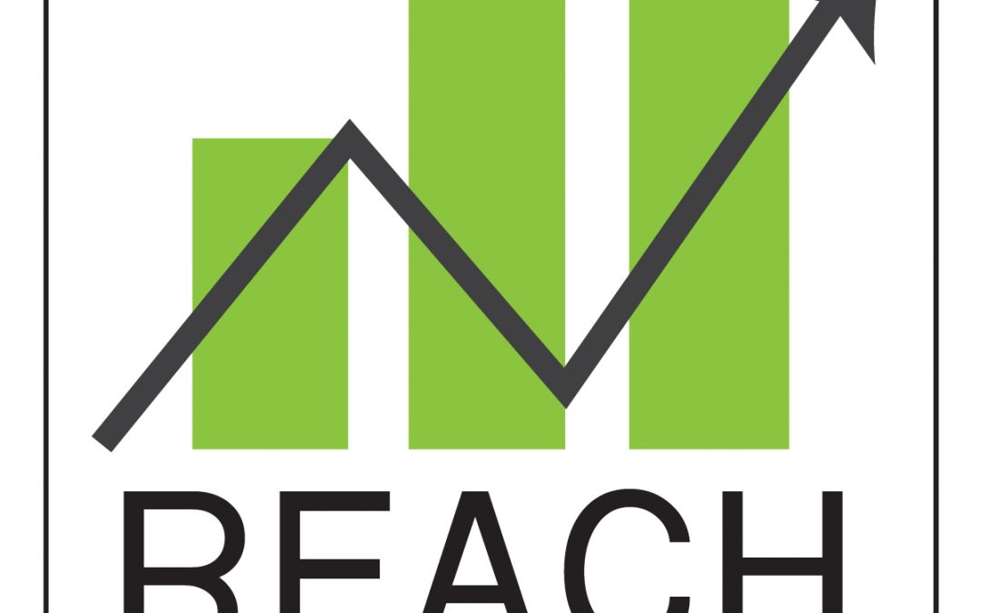 REACH Consulting Services