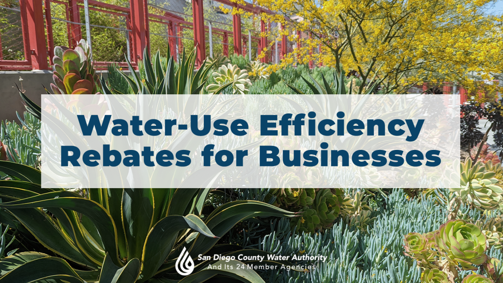 water-use-efficiency-rebates-for-businesses-south-county-edc