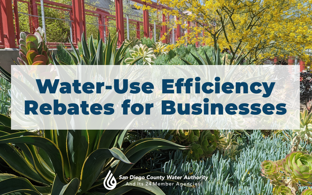 water-use-efficiency-rebates-for-businesses-south-county-edc
