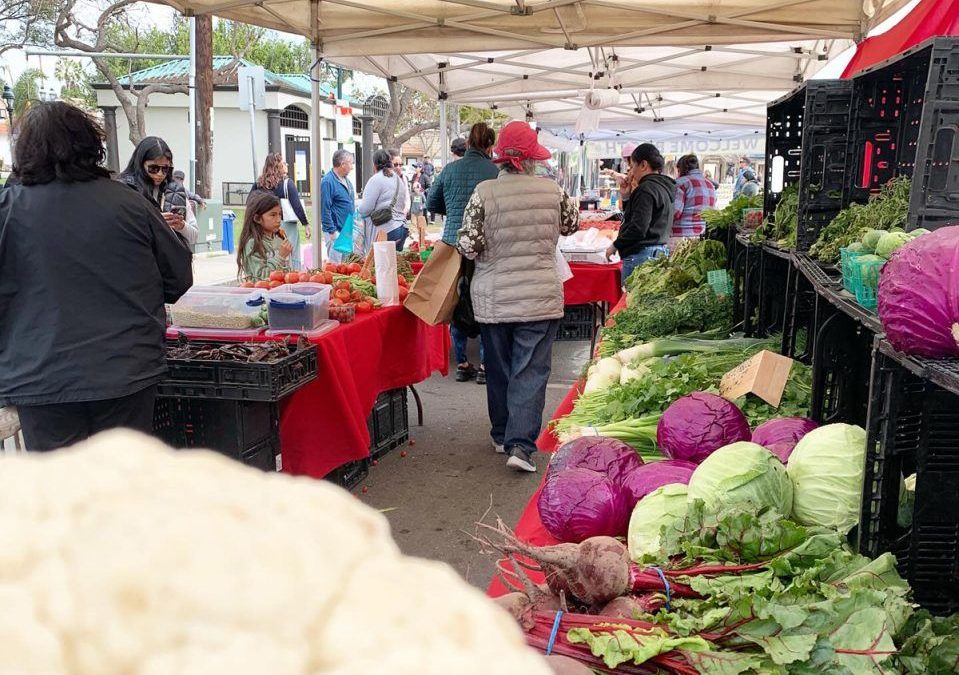 Chula Vista Farmers Market celebrates three years of community and growth